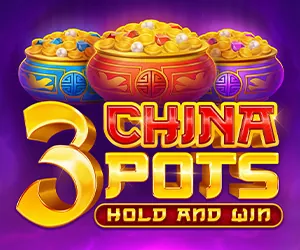 3 China Pots
