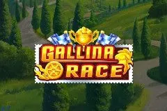 Gallina Race